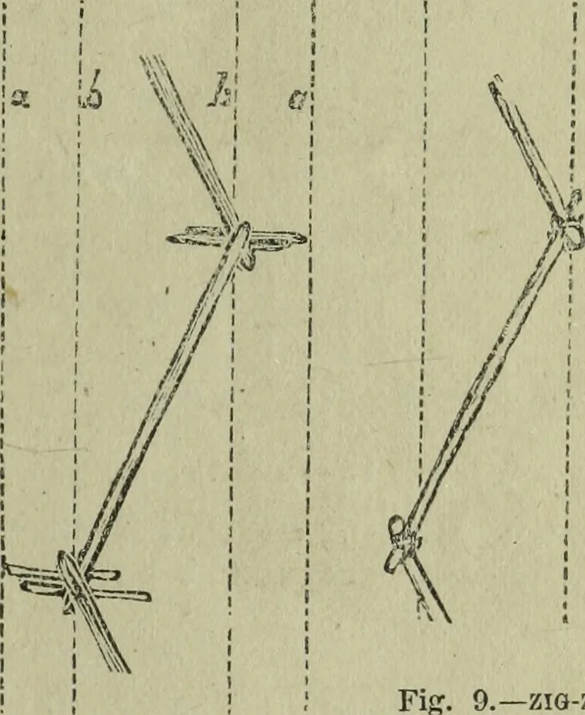 An illustration from The Canadian farm annual for 1880 published in Connection with the Weekly Mail, 1880, leaf 20