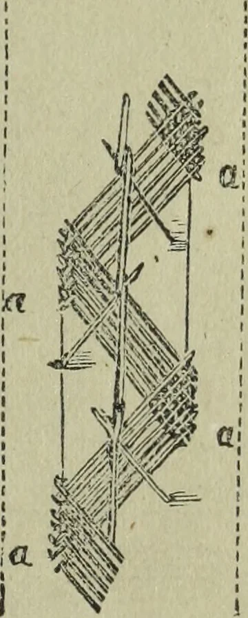 An illustration from The Canadian farm annual for 1880 published in Connection with the Weekly Mail, 1880, leaf 20