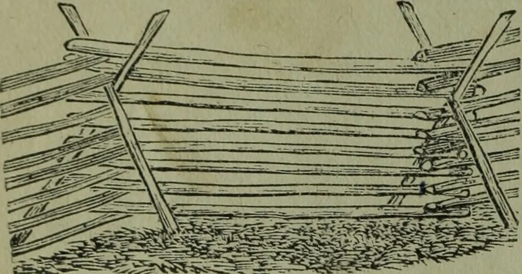 An illustration from The Canadian farm annual for 1880 published in Connection with the Weekly Mail, 1880, leaf 21
