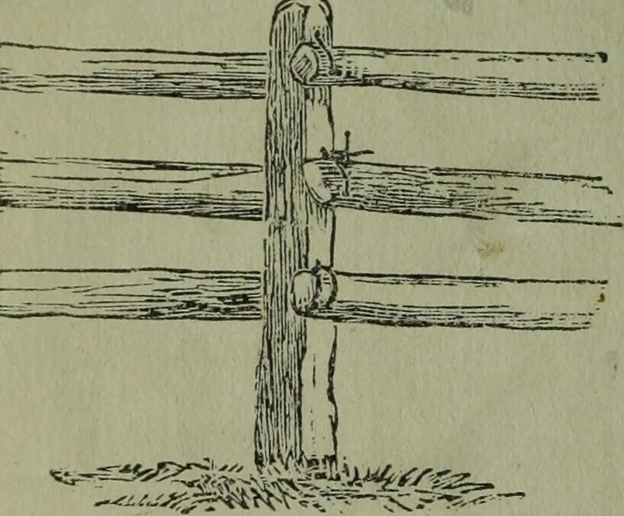 An illustration from The Canadian farm annual for 1880 published in Connection with the Weekly Mail, 1880, leaf 21