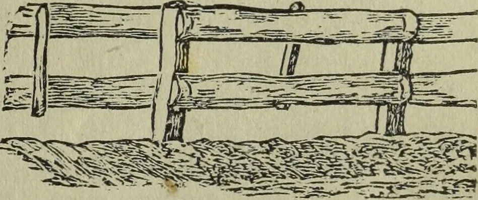 An illustration from The Canadian farm annual for 1880 published in Connection with the Weekly Mail, 1880, leaf 22