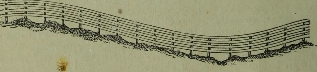 An illustration from The Canadian farm annual for 1880 published in Connection with the Weekly Mail, 1880, leaf 23