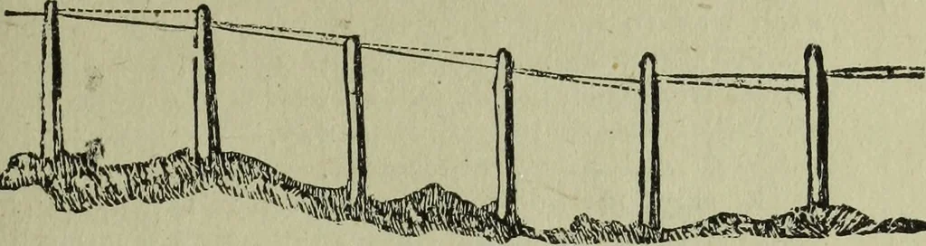An illustration from The Canadian farm annual for 1880 published in Connection with the Weekly Mail, 1880, leaf 24