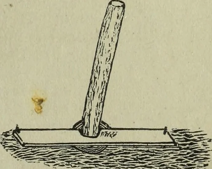 An illustration from The Canadian farm annual for 1880 published in Connection with the Weekly Mail, 1880, leaf 24
