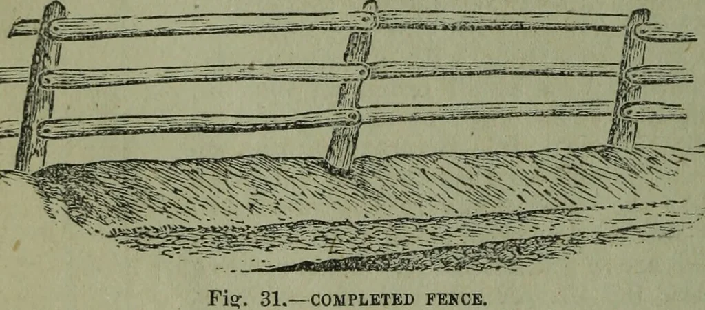 An illustration from The Canadian farm annual for 1880 published in Connection with the Weekly Mail, 1880, leaf 25