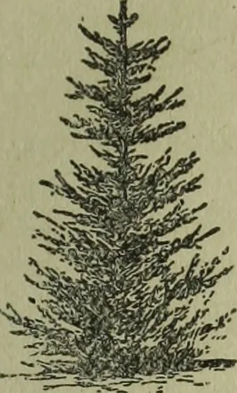 An illustration from The Canadian farm annual for 1880 published in Connection with the Weekly Mail, 1880, leaf 26