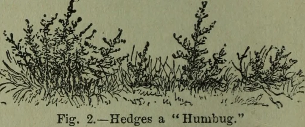 An illustration from The Canadian farm annual for 1880 published in Connection with the Weekly Mail, 1880, leaf 35