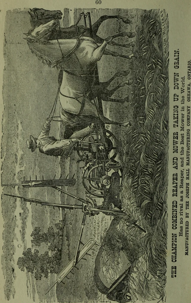 An illustration from The Canadian farm annual for 1880 published in Connection with the Weekly Mail, 1880, leaf 59