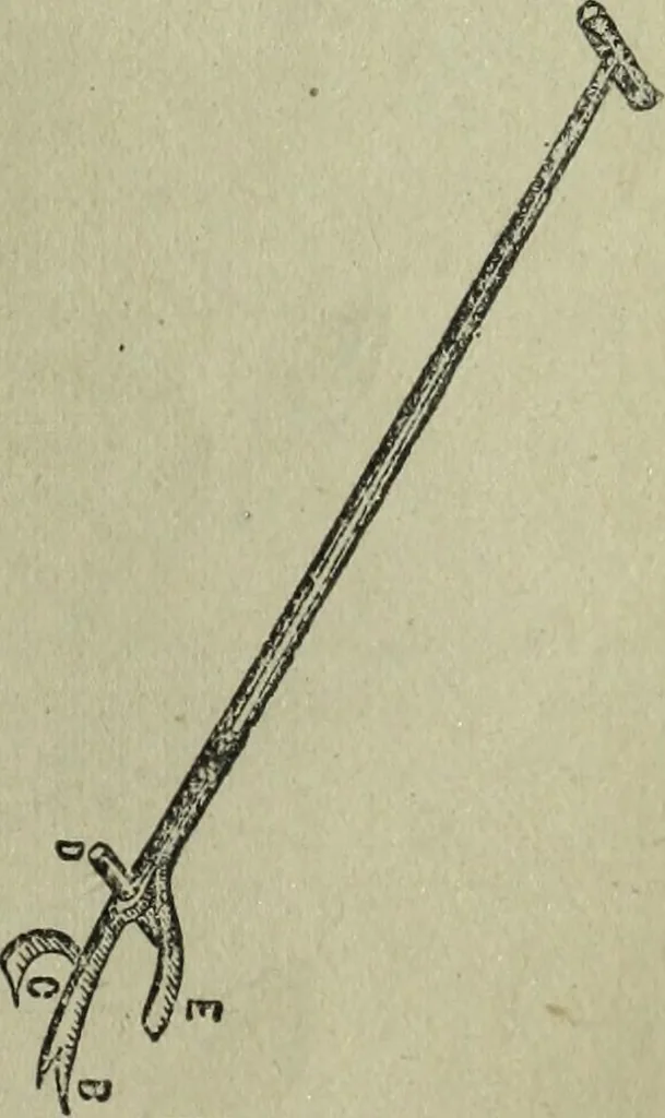 An illustration from The Canadian farm annual for 1880 published in Connection with the Weekly Mail, 1880, leaf 70