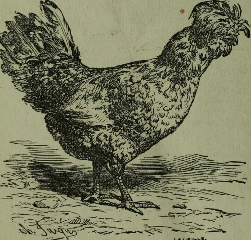 An illustration from The Canadian farm annual for 1880 published in Connection with the Weekly Mail, 1880, leaf 71