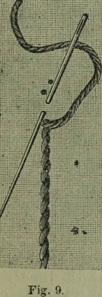An illustration from The Canadian farm annual for 1880 published in Connection with the Weekly Mail, 1880, leaf 81