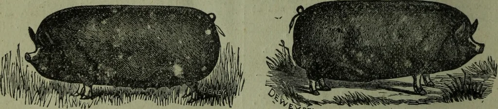 An illustration from The Canadian farm annual for 1880 published in Connection with the Weekly Mail, 1880, leaf 93