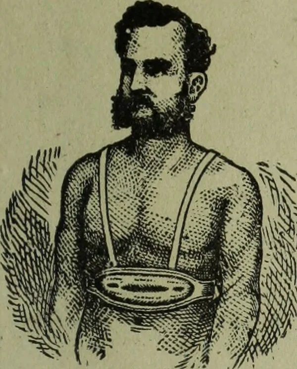 An illustration from The Canadian farm annual for 1880 published in Connection with the Weekly Mail, 1880, leaf 94