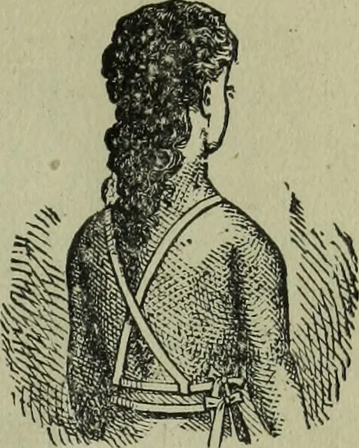 An illustration from The Canadian farm annual for 1880 published in Connection with the Weekly Mail, 1880, leaf 94