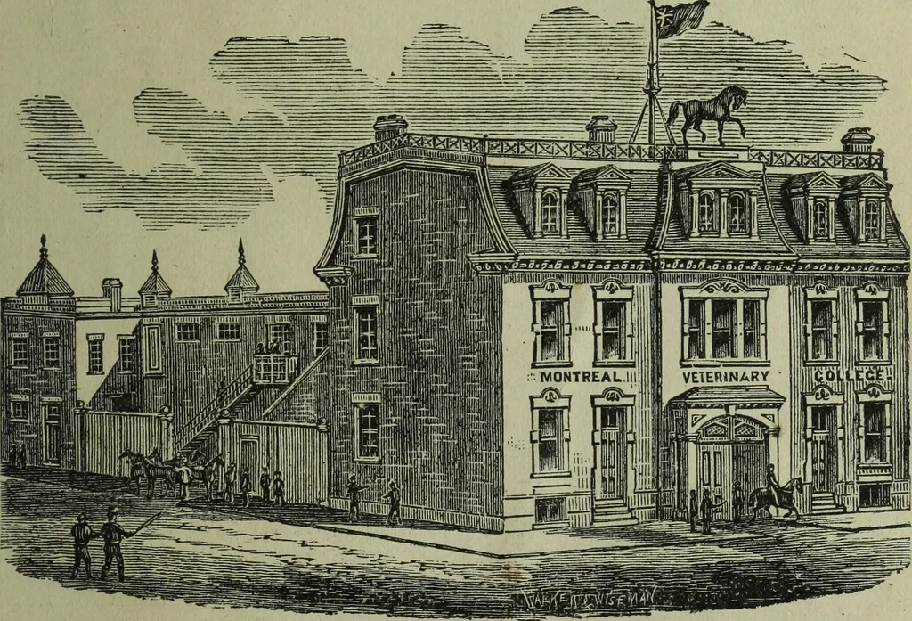 An illustration from The Canadian farm annual for 1880 published in Connection with the Weekly Mail, 1880, leaf 94