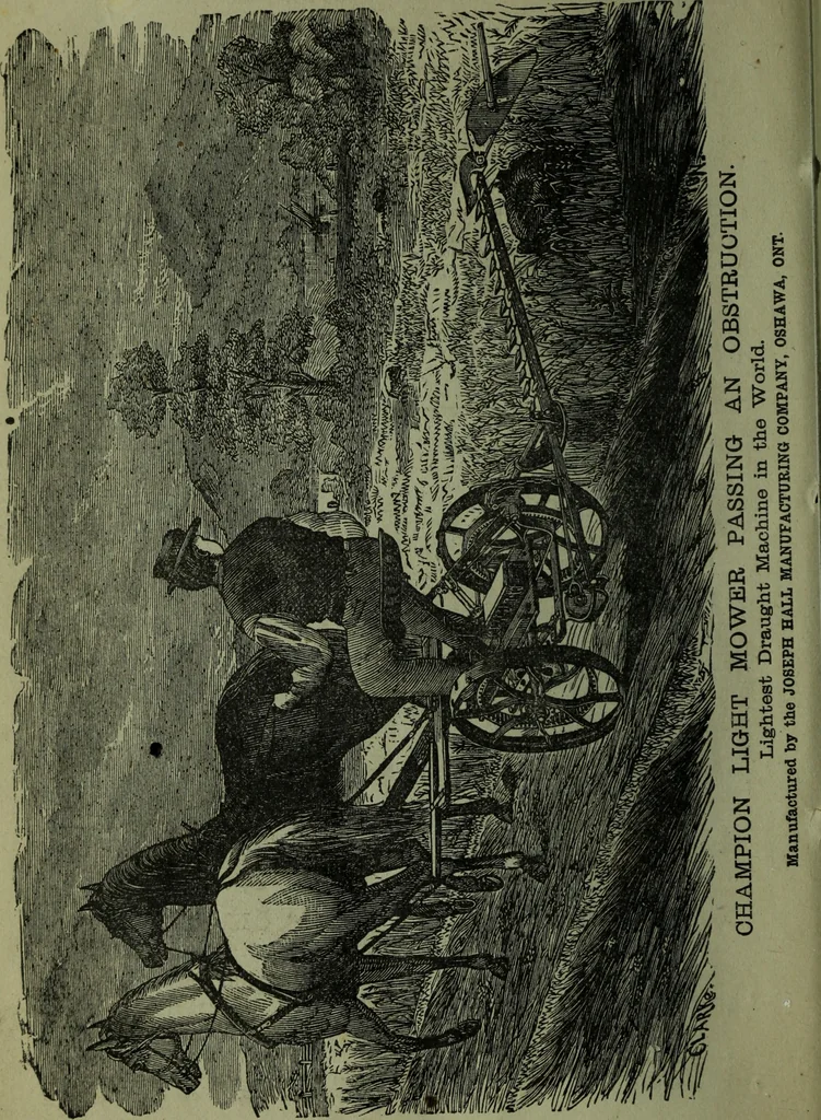 An illustration from The Canadian farm annual for 1880 published in Connection with the Weekly Mail, 1880, leaf 95