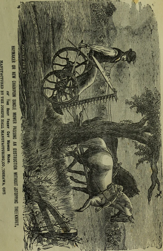 An illustration from The Canadian farm annual for 1880 published in Connection with the Weekly Mail, 1880, leaf 96