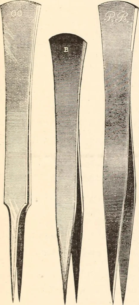 An illustration from Canadian jeweller 1879-1881, 1879, leaf 153