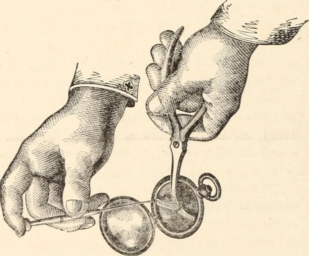 An illustration from Canadian jeweller 1879-1881, 1879, leaf 153
