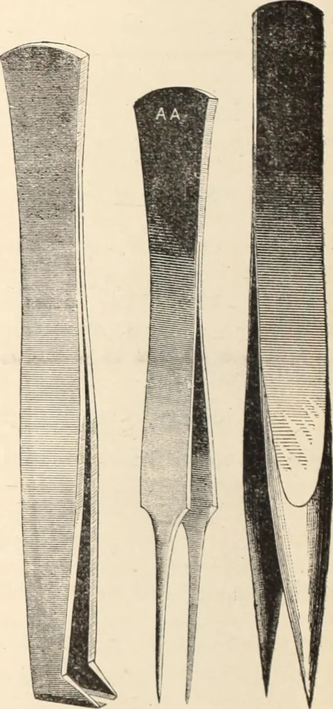 An illustration from Canadian jeweller 1879-1881, 1879, leaf 153