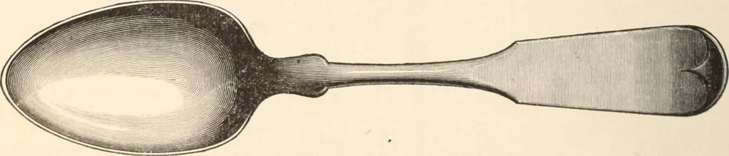 An illustration from Canadian jeweller 1879-1881, 1879, leaf 175