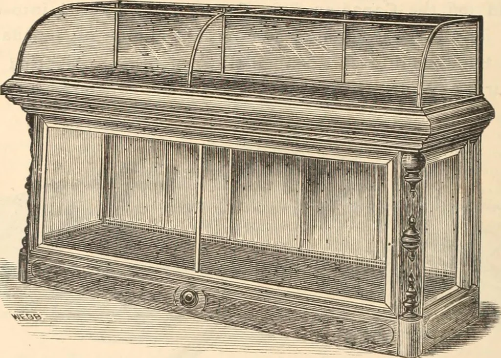 An illustration from Canadian jeweller 1879-1881, 1879, leaf 29