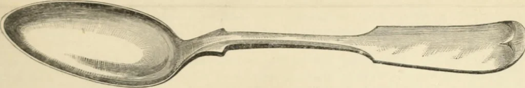 An illustration from Canadian jeweller 1879-1881, 1879, leaf 54
