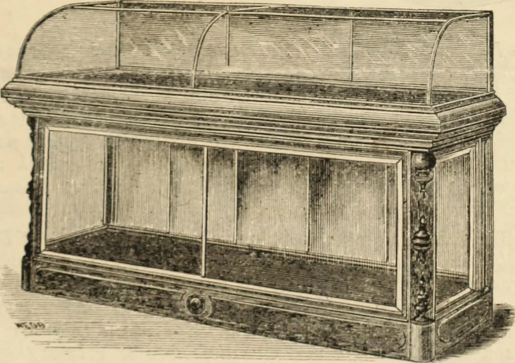 An illustration from Canadian jeweller 1879-1881, 1879, leaf 6