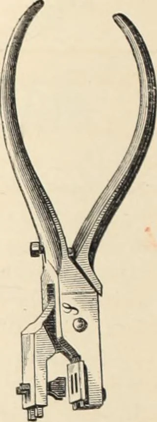 An illustration from Canadian jeweller 1879-1881, 1879, leaf 63