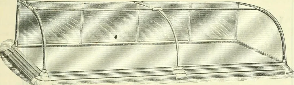 An illustration from Canadian jeweller 1882-1886, 1886, leaf 1042