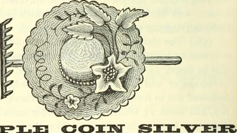 An illustration from Canadian jeweller 1882-1886, 1886, leaf 1067