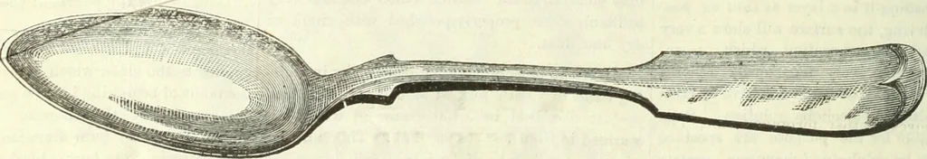 An illustration from Canadian jeweller 1882-1886, 1886, leaf 107