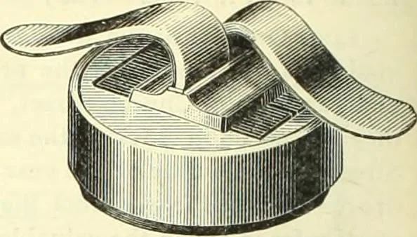 An illustration from Canadian jeweller 1882-1886, 1886, leaf 1077