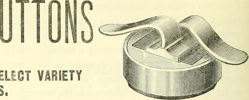 An illustration from Canadian jeweller 1882-1886, 1886, leaf 1109