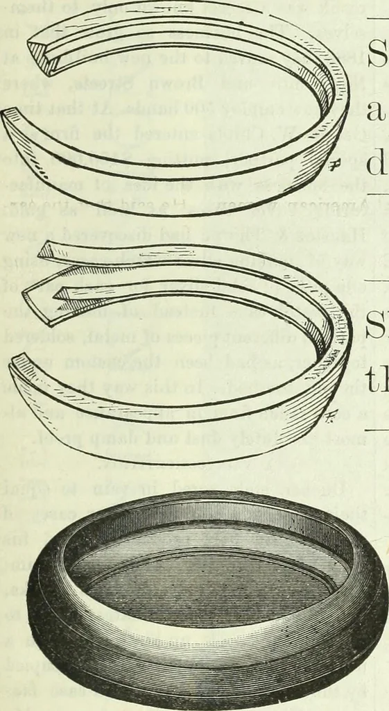 An illustration from Canadian jeweller 1882-1886, 1886, leaf 178