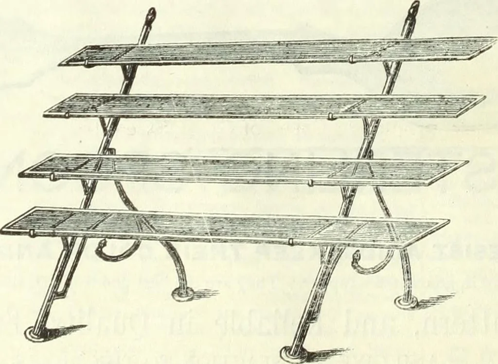 An illustration from Canadian jeweller 1882-1886, 1886, leaf 29