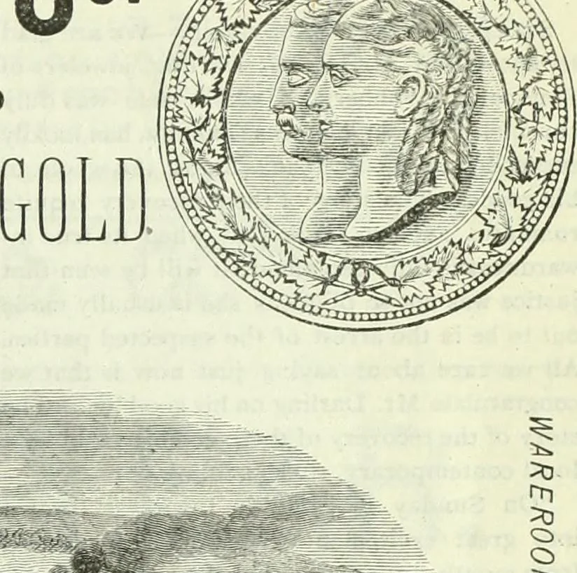 An illustration from Canadian jeweller 1882-1886, 1886, leaf 366