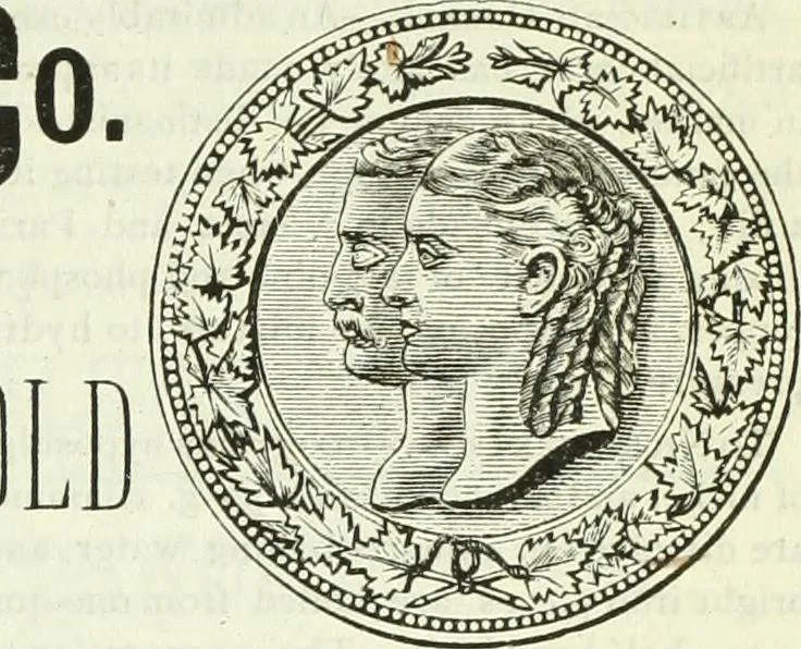 An illustration from Canadian jeweller 1882-1886, 1886, leaf 398
