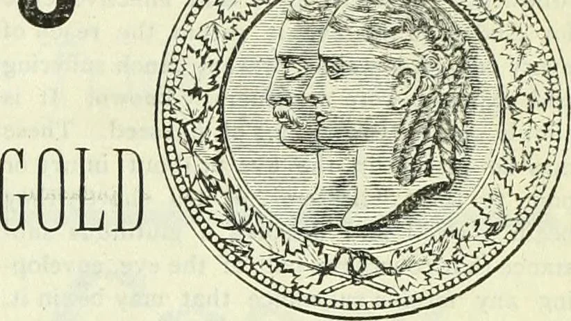 An illustration from Canadian jeweller 1882-1886, 1886, leaf 428