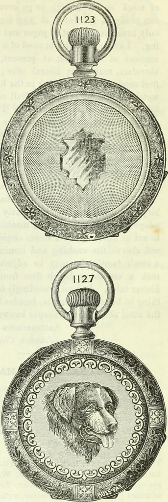 An illustration from Canadian jeweller 1882-1886, 1886, leaf 440
