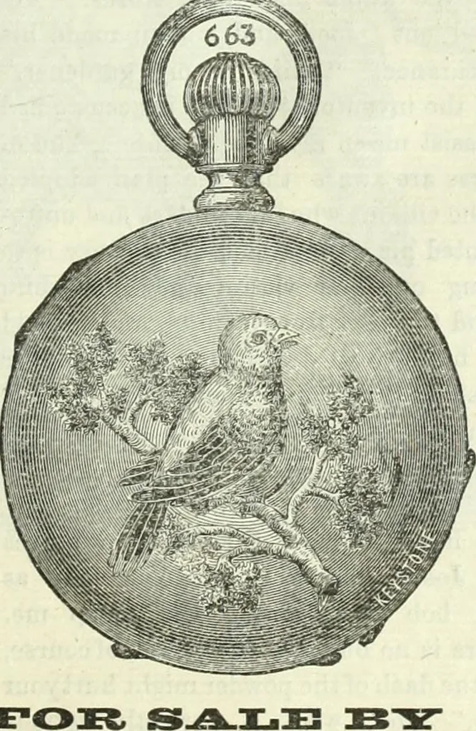 An illustration from Canadian jeweller 1882-1886, 1886, leaf 454