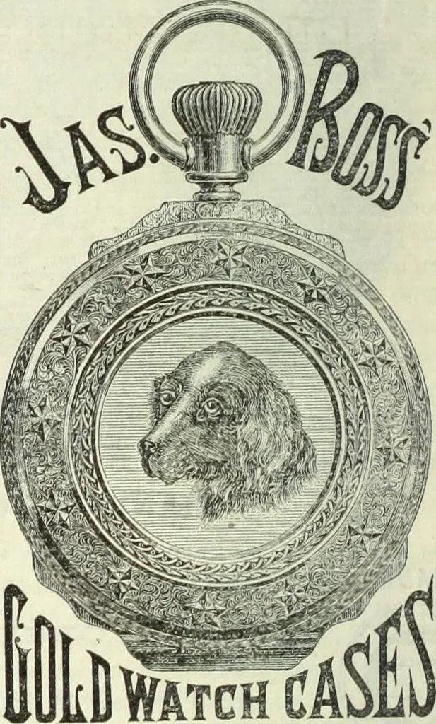 An illustration from Canadian jeweller 1882-1886, 1886, leaf 459