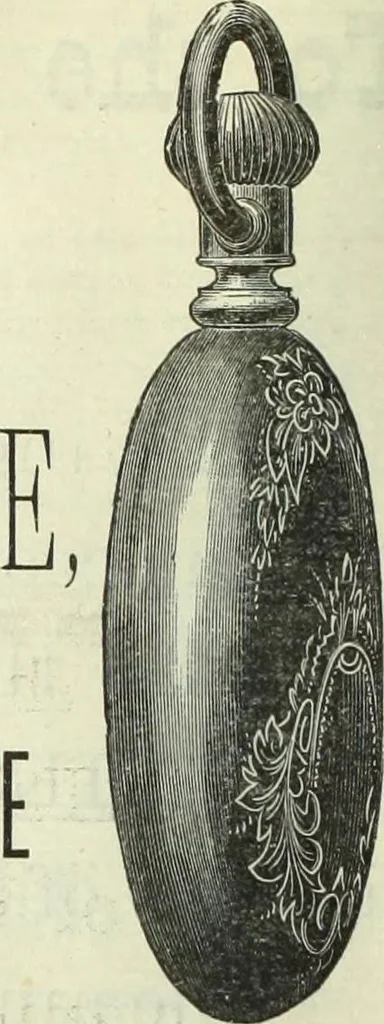 An illustration from Canadian jeweller 1882-1886, 1886, leaf 461