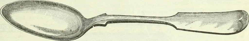 An illustration from Canadian jeweller 1882-1886, 1886, leaf 52