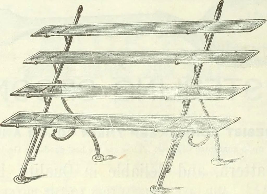 An illustration from Canadian jeweller 1882-1886, 1886, leaf 53