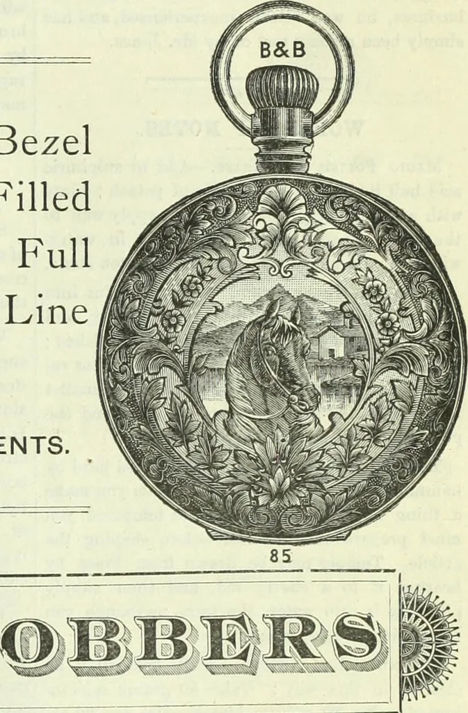 An illustration from Canadian jeweller 1882-1886, 1886, leaf 554