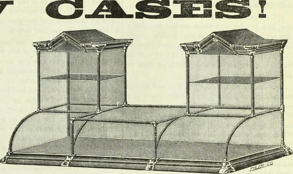 An illustration from Canadian jeweller 1882-1886, 1886, leaf 632