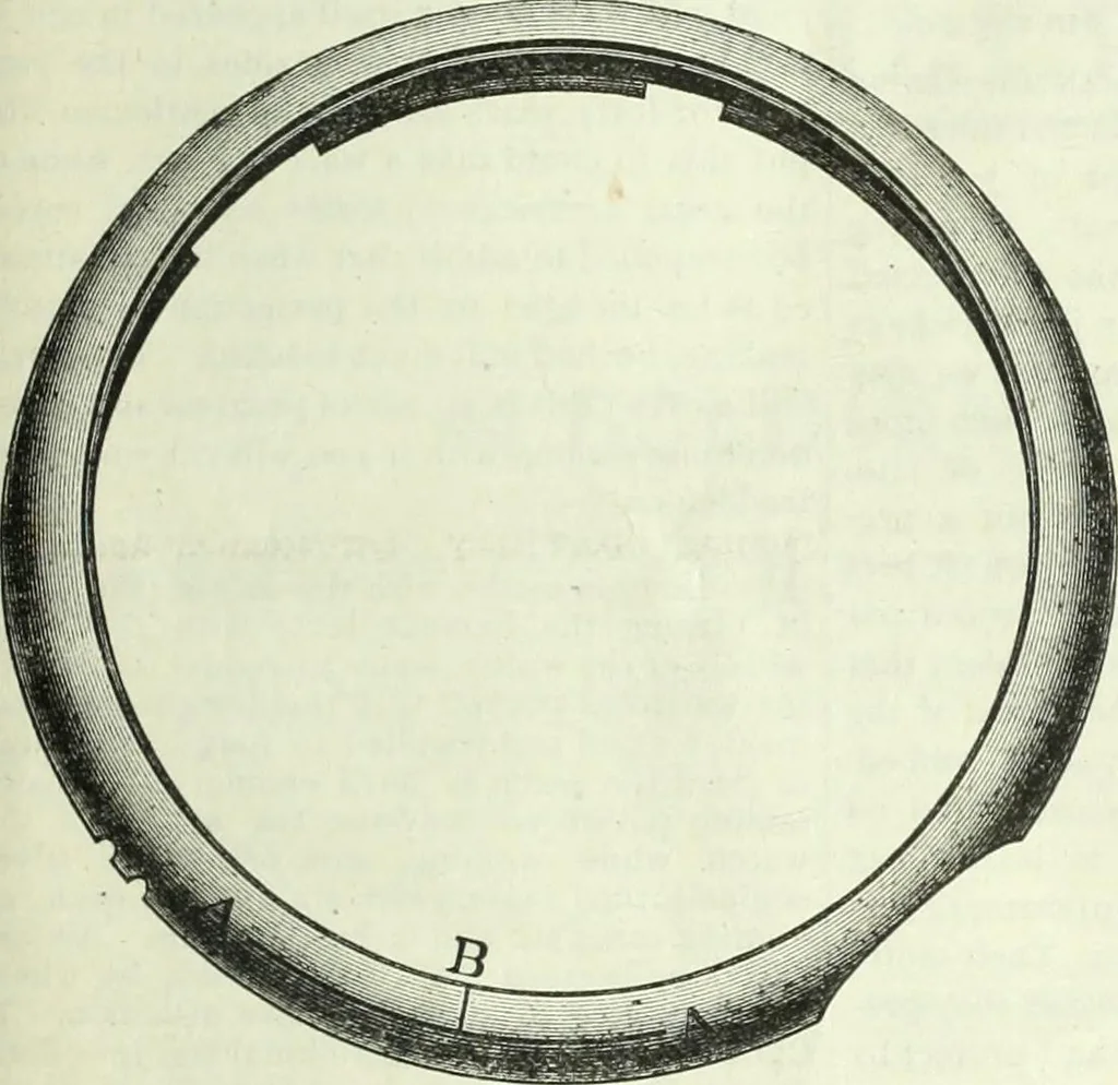 An illustration from Canadian jeweller 1882-1886, 1886, leaf 728