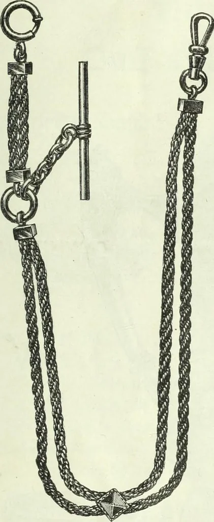 An illustration from Canadian jeweller 1882-1886, 1886, leaf 732