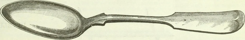 An illustration from Canadian jeweller 1882-1886, 1886, leaf 76